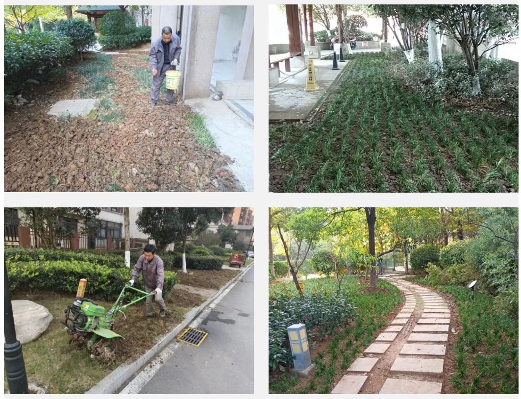 OB视讯·(中国游)官方网站